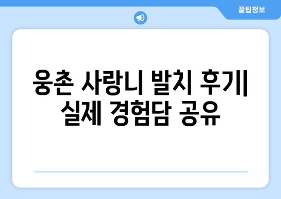 울산시 울주군 웅촌면 사랑니 치과 매복 발치 잘하는 곳 비용 | 후기 | 추천