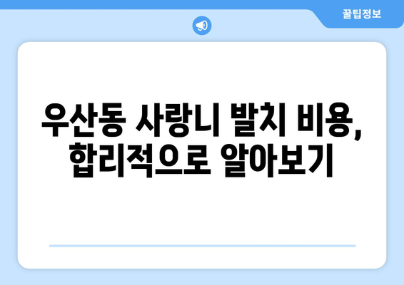 광주시 광산구 우산동 사랑니 치과 매복 발치 잘하는 곳 비용 | 후기 | 추천