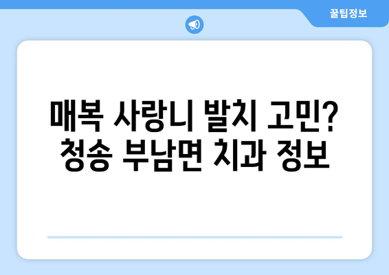 경상북도 청송군 부남면 사랑니 치과 매복 발치 잘하는 곳 비용 | 후기 | 추천