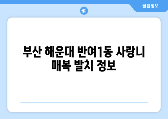 부산시 해운대구 반여1동 사랑니 치과 매복 발치 잘하는 곳 비용 | 후기 | 추천