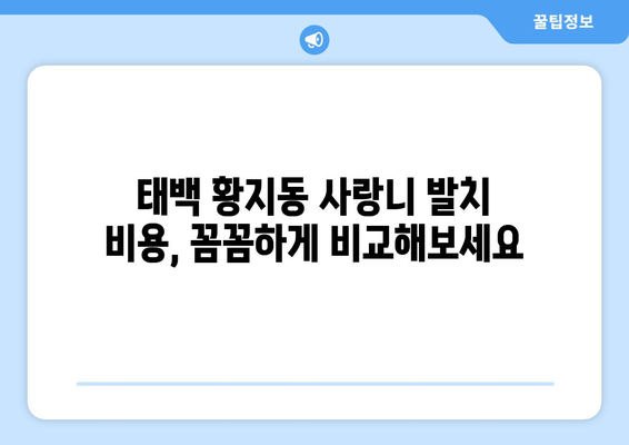 강원도 태백시 황지동 사랑니 치과 매복 발치 잘하는 곳 비용 | 후기 | 추천