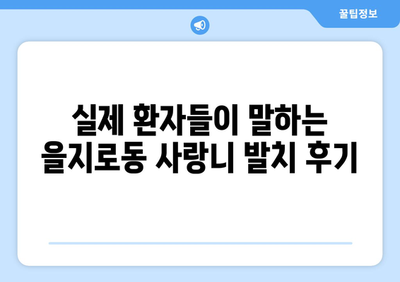 서울시 중구 을지로동 사랑니 치과 매복 발치 잘하는 곳 비용 | 후기 | 추천