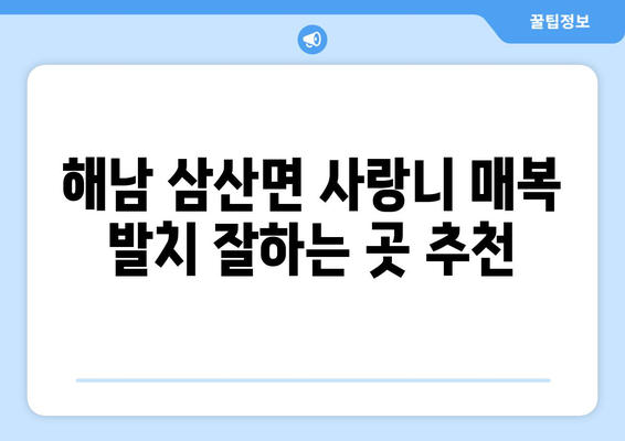 전라남도 해남군 삼산면 사랑니 치과 매복 발치 잘하는 곳 비용 | 후기 | 추천