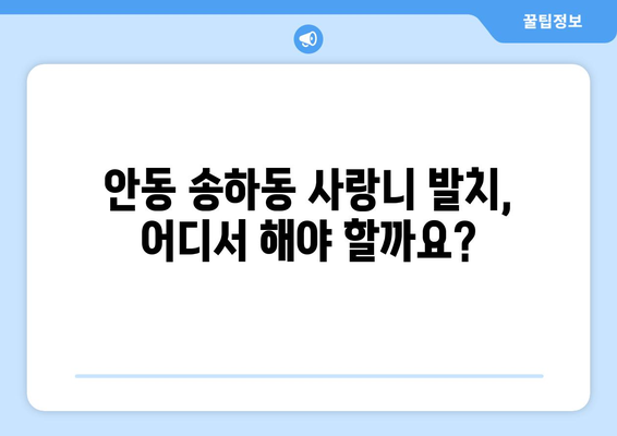 경상북도 안동시 송하동 사랑니 치과 매복 발치 잘하는 곳 비용 | 후기 | 추천