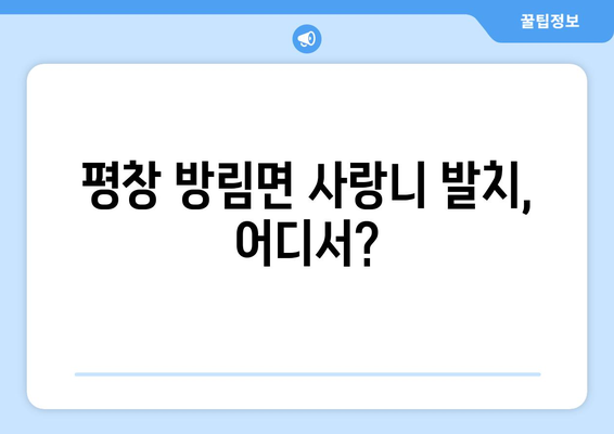 강원도 평창군 방림면 사랑니 치과 매복 발치 잘하는 곳 비용 | 후기 | 추천