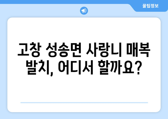 전라북도 고창군 성송면 사랑니 치과 매복 발치 잘하는 곳 비용 | 후기 | 추천
