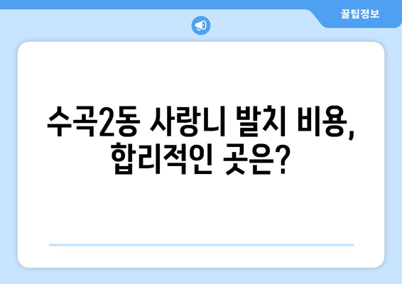 충청북도 청주시 서원구 수곡2동 사랑니 치과 매복 발치 잘하는 곳 비용 | 후기 | 추천