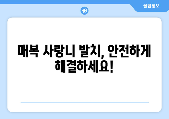 서울시 성북구 삼선동 사랑니 치과 매복 발치 잘하는 곳 비용 | 후기 | 추천