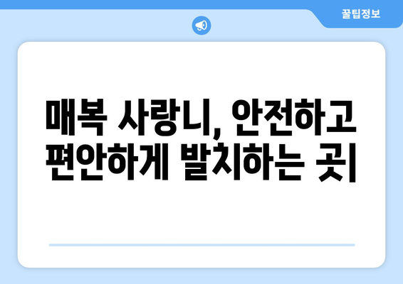 충청북도 영동군 황간면 사랑니 치과 매복 발치 잘하는 곳 비용 | 후기 | 추천