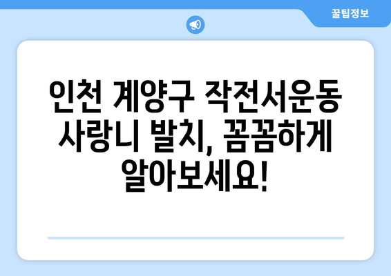 인천시 계양구 작전서운동 사랑니 치과 매복 발치 잘하는 곳 비용 | 후기 | 추천