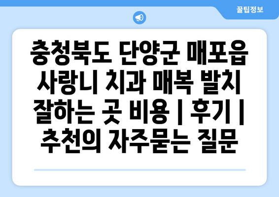 충청북도 단양군 매포읍 사랑니 치과 매복 발치 잘하는 곳 비용 | 후기 | 추천