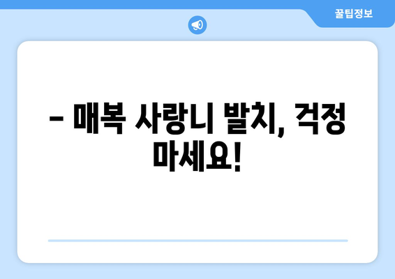 충청북도 청주시 청원구 중앙탑면 사랑니 치과 매복 발치 잘하는 곳 비용 | 후기 | 추천