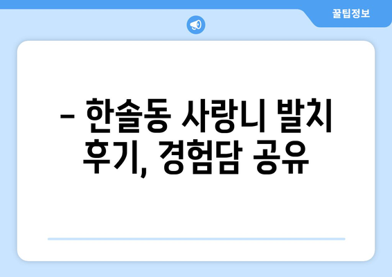 세종시 세종특별자치시 한솔동 사랑니 치과 매복 발치 잘하는 곳 비용 | 후기 | 추천