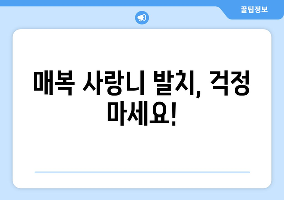 울산시 북구 강동동 사랑니 치과 매복 발치 잘하는 곳 비용 | 후기 | 추천