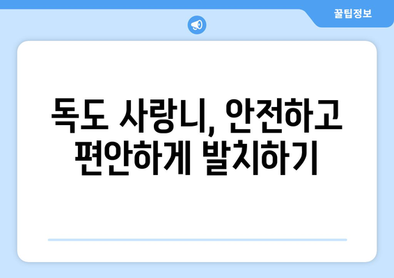경상북도 울릉군 독도 사랑니 치과 매복 발치 잘하는 곳 비용 | 후기 | 추천