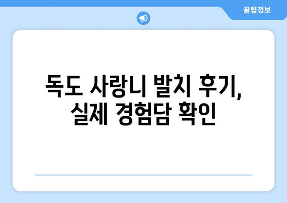 경상북도 울릉군 독도 사랑니 치과 매복 발치 잘하는 곳 비용 | 후기 | 추천