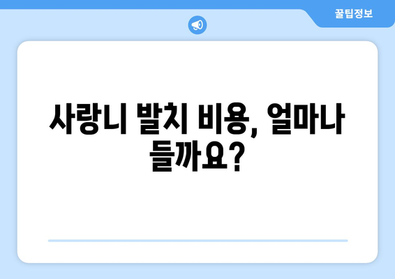 광주시 남구 주월1동 사랑니 치과 매복 발치 잘하는 곳 비용 | 후기 | 추천