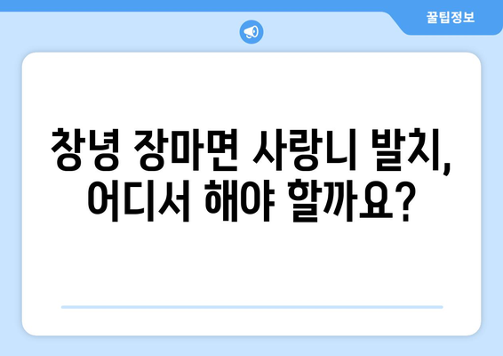 경상남도 창녕군 장마면 사랑니 치과 매복 발치 잘하는 곳 비용 | 후기 | 추천