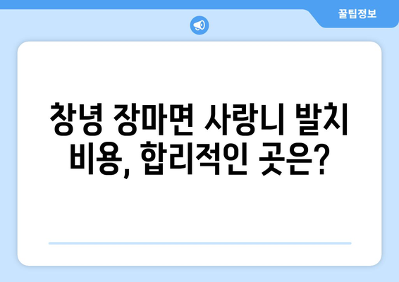 경상남도 창녕군 장마면 사랑니 치과 매복 발치 잘하는 곳 비용 | 후기 | 추천
