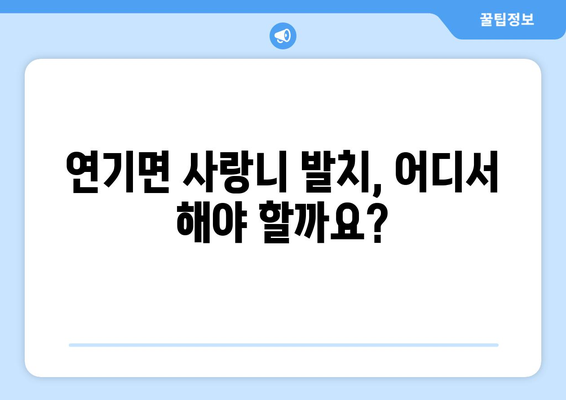 세종시 세종특별자치시 연기면 사랑니 치과 매복 발치 잘하는 곳 비용 | 후기 | 추천