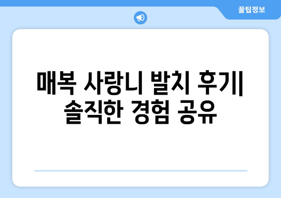 세종시 세종특별자치시 소정면 사랑니 치과 매복 발치 잘하는 곳 비용 | 후기 | 추천
