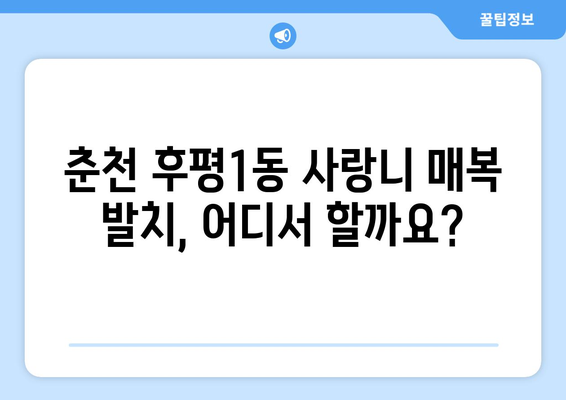 강원도 춘천시 후평1동 사랑니 치과 매복 발치 잘하는 곳 비용 | 후기 | 추천