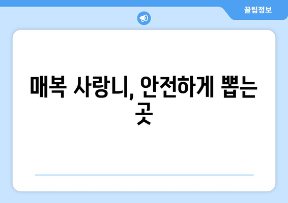 충청남도 논산시 상월면 사랑니 치과 매복 발치 잘하는 곳 비용 | 후기 | 추천