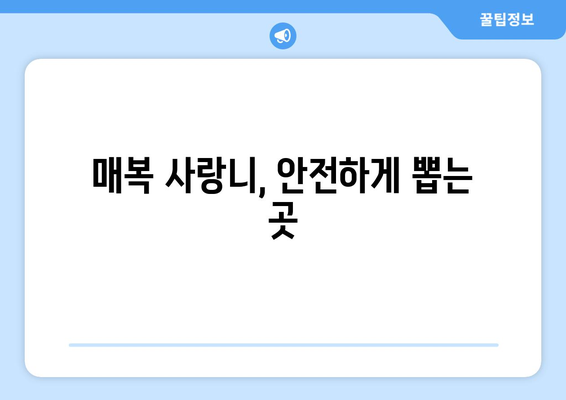 대구시 중구 성내3동 사랑니 치과 매복 발치 잘하는 곳 비용 | 후기 | 추천