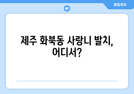 제주도 제주시 화북동 사랑니 치과 매복 발치 잘하는 곳 비용 | 후기 | 추천