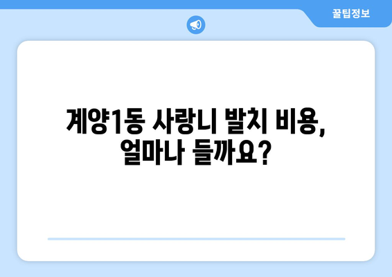 인천시 계양구 계양1동 사랑니 치과 매복 발치 잘하는 곳 비용 | 후기 | 추천