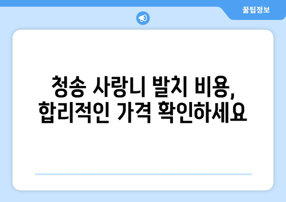 경상북도 청송군 진보면 사랑니 치과 매복 발치 잘하는 곳 비용 | 후기 | 추천