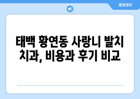 강원도 태백시 황연동 사랑니 치과 매복 발치 잘하는 곳 비용 | 후기 | 추천