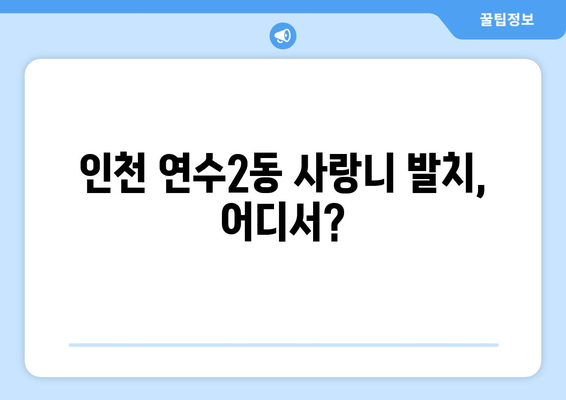 인천시 연수구 연수2동 사랑니 치과 매복 발치 잘하는 곳 비용 | 후기 | 추천