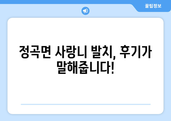 경상남도 의령군 정곡면 사랑니 치과 매복 발치 잘하는 곳 비용 | 후기 | 추천