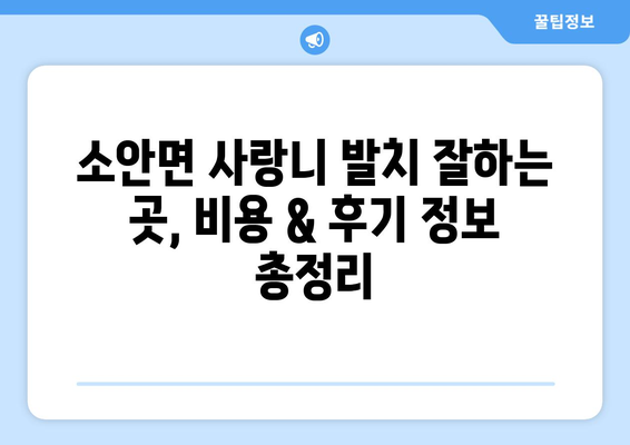 전라남도 완도군 소안면 사랑니 치과 매복 발치 잘하는 곳 비용 | 후기 | 추천