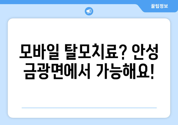 경기도 안성시 금광면 모바일식 탈모치료 잘하는곳 두피관리 추천 베스트 헤어라인 정수리 비용 후기