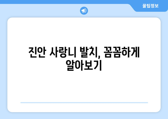 전라북도 진안군 진안읍 사랑니 치과 매복 발치 잘하는 곳 비용 | 후기 | 추천