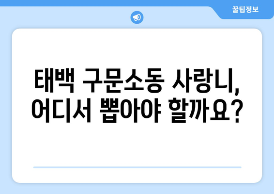 강원도 태백시 구문소동 사랑니 치과 매복 발치 잘하는 곳 비용 | 후기 | 추천
