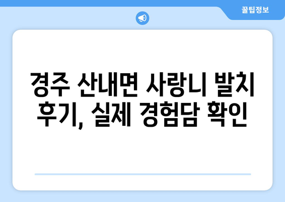 경상북도 경주시 산내면 사랑니 치과 매복 발치 잘하는 곳 비용 | 후기 | 추천