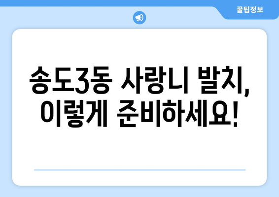 인천시 연수구 송도3동 사랑니 치과 매복 발치 잘하는 곳 비용 | 후기 | 추천