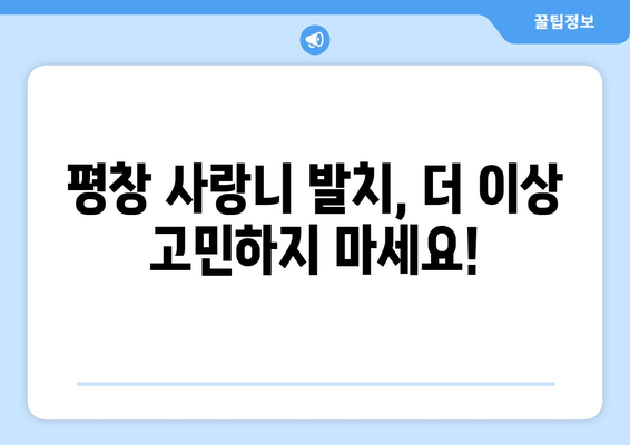 강원도 평창군 방림면 사랑니 치과 매복 발치 잘하는 곳 비용 | 후기 | 추천