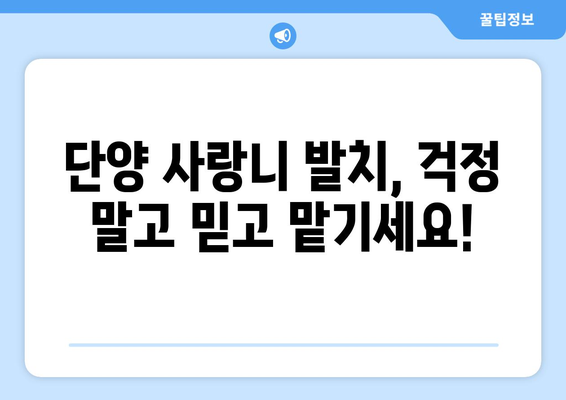 충청북도 단양군 단양읍 사랑니 치과 매복 발치 잘하는 곳 비용 | 후기 | 추천