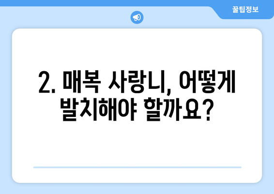 충청북도 증평군 도안면 사랑니 치과 매복 발치 잘하는 곳 비용 | 후기 | 추천