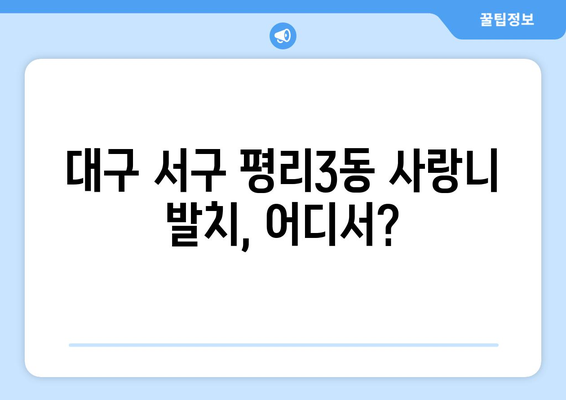 대구시 서구 평리3동 사랑니 치과 매복 발치 잘하는 곳 비용 | 후기 | 추천