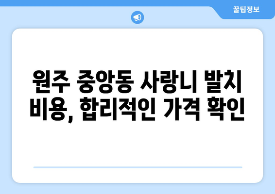 강원도 원주시 중앙동 사랑니 치과 매복 발치 잘하는 곳 비용 | 후기 | 추천