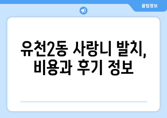 대전시 중구 유천2동 사랑니 치과 매복 발치 잘하는 곳 비용 | 후기 | 추천