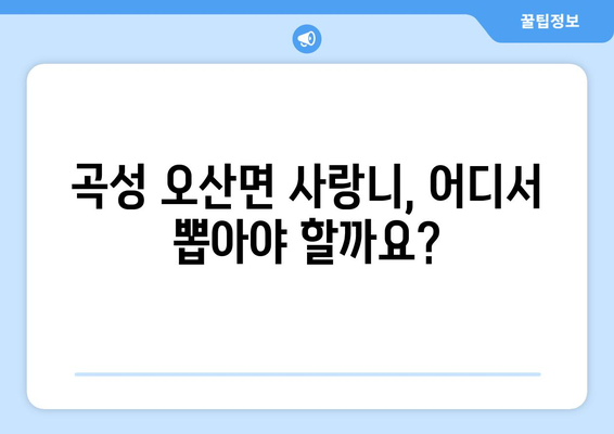 전라남도 곡성군 오산면 사랑니 치과 매복 발치 잘하는 곳 비용 | 후기 | 추천
