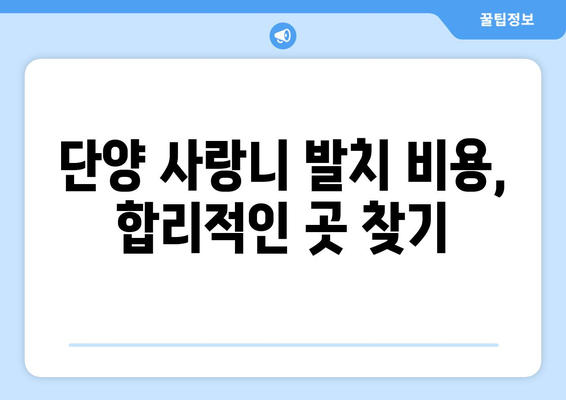 충청북도 단양군 단양읍 사랑니 치과 매복 발치 잘하는 곳 비용 | 후기 | 추천