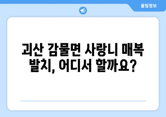 충청북도 괴산군 감물면 사랑니 치과 매복 발치 잘하는 곳 비용 | 후기 | 추천