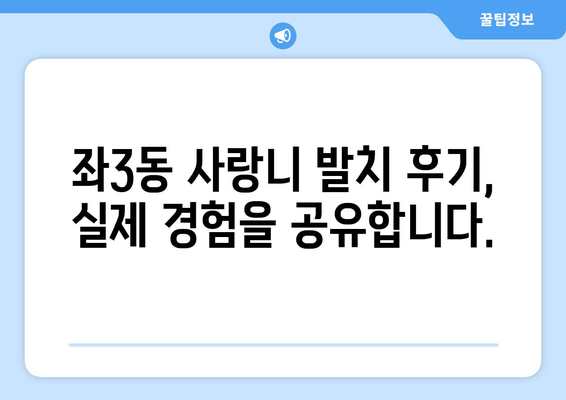 부산시 해운대구 좌3동 사랑니 치과 매복 발치 잘하는 곳 비용 | 후기 | 추천